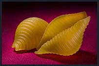 Plants: image 3 0f 7 thumb